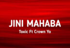 Toxic Ft Crown Yo – Jini Mahaba (Official audio cover 2025)