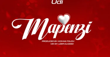 Udi - Mapenzi(Official Audio Cover 2025)