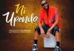 20 percent – Ni Upendo(Official Audio Cover 2025)