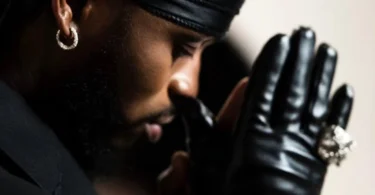 Diamond Platnumz – Nani (Official Audio Cover 2025)