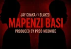 Jay Chaka Ft. Blayzo - Mapenzi Basi (?Official Audio Cover 2025)