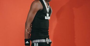 Mdogo Sajent ft. Chino Kidd – Mlegezo (Official audio cover 2025 )