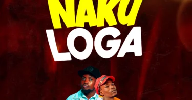 Nurdizzo Ft. Stizo NAKULOGA (Official Audio Cover 2025)