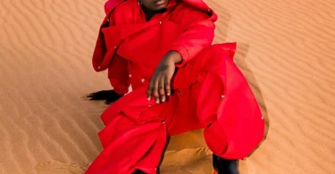 Rayvanny – Bye bye Raila Odinga (Official Audio Cover 2025)