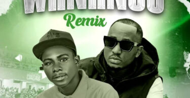 Snake Voice Ft. Bando mc – Wanangu remix (Official audio cover 2025)