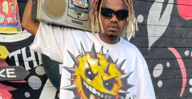 Twiger Icon - Redio (Official Audio Cover 2025)