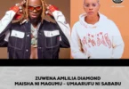 ZUWENA AMLILIA DIAMOND MAISHA MAGUMU UMAARUFU NI SABABU