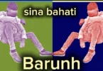 Barunh - Sina Bahati (Official Audio Cover 2025)