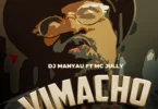 Dj Manyau Ft. Mc Jully - Vimacho (Official Audio Cover 2025)
