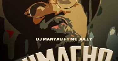 Dj Manyau Ft. Mc Jully - Vimacho (Official Audio Cover 2025)