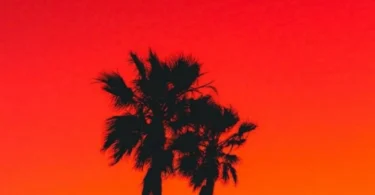 Loui Ft Sami – Shoo (Official Audio Cover 2025)