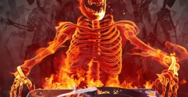 Mobra Beat Mr Vibe - DJ Wangu Noma(Official Audio Cover 2025)