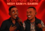 Nedy Sam Ft. Samiri - Hapa (Official Audio Cover 2025)