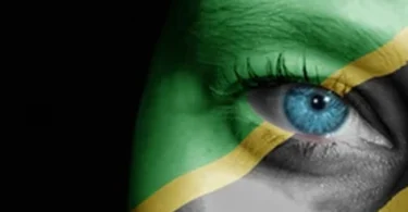 Peter Msechu – HODI (Official Audio Cover 2025)