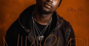 Robby Vibe - Nikirudi (Official Audio Cover 2025)