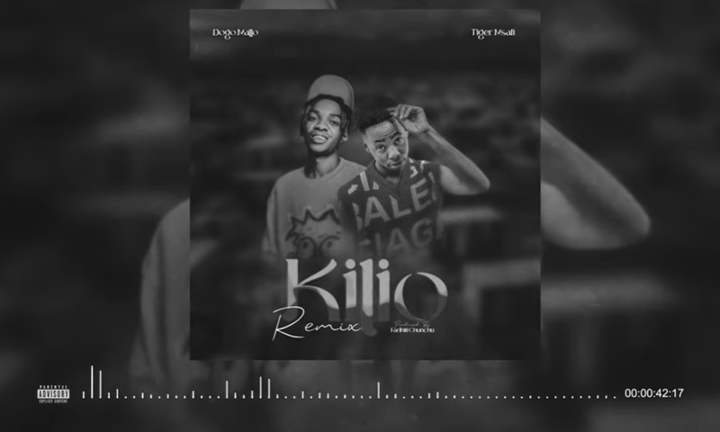 Tiger Msafi Ft. Dogo Mallo - Kilio Remix (Official Audio Cover 2025)
