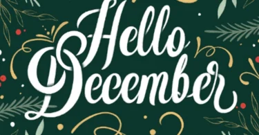 Alikiba – December( Official Audio Cover )