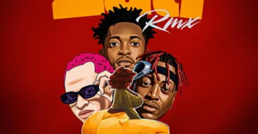 DJ Bambapana Ft. K Zungu x Mzee wa Bwax - Zali Remix (Official Audio Cover 2025)