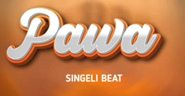 Dj Azo wa kitaa - Pawa Singeli Beat (Official Audio Cover 2025)