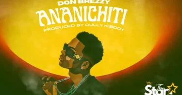Don Breezy – Ananichiti(Official Audio Cover 2025)