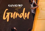 Kapaso - Gundu (Official Audio Cover 2025)