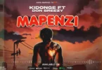 Kidonge Ft. Don breezy - Mapenzi (Official Audio Cover 2025)