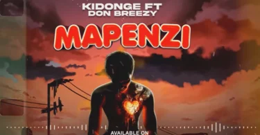 Kidonge Ft. Don breezy - Mapenzi (Official Audio Cover 2025)