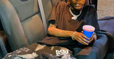 Mczo Morfan - Uzuli Wake (Official Audio Cover 2025)