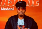 Medani Tz - Asante (Official Audio Cover 2025)