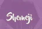 Noma Emergency - Shemeji (Official Audio Cover 2025)