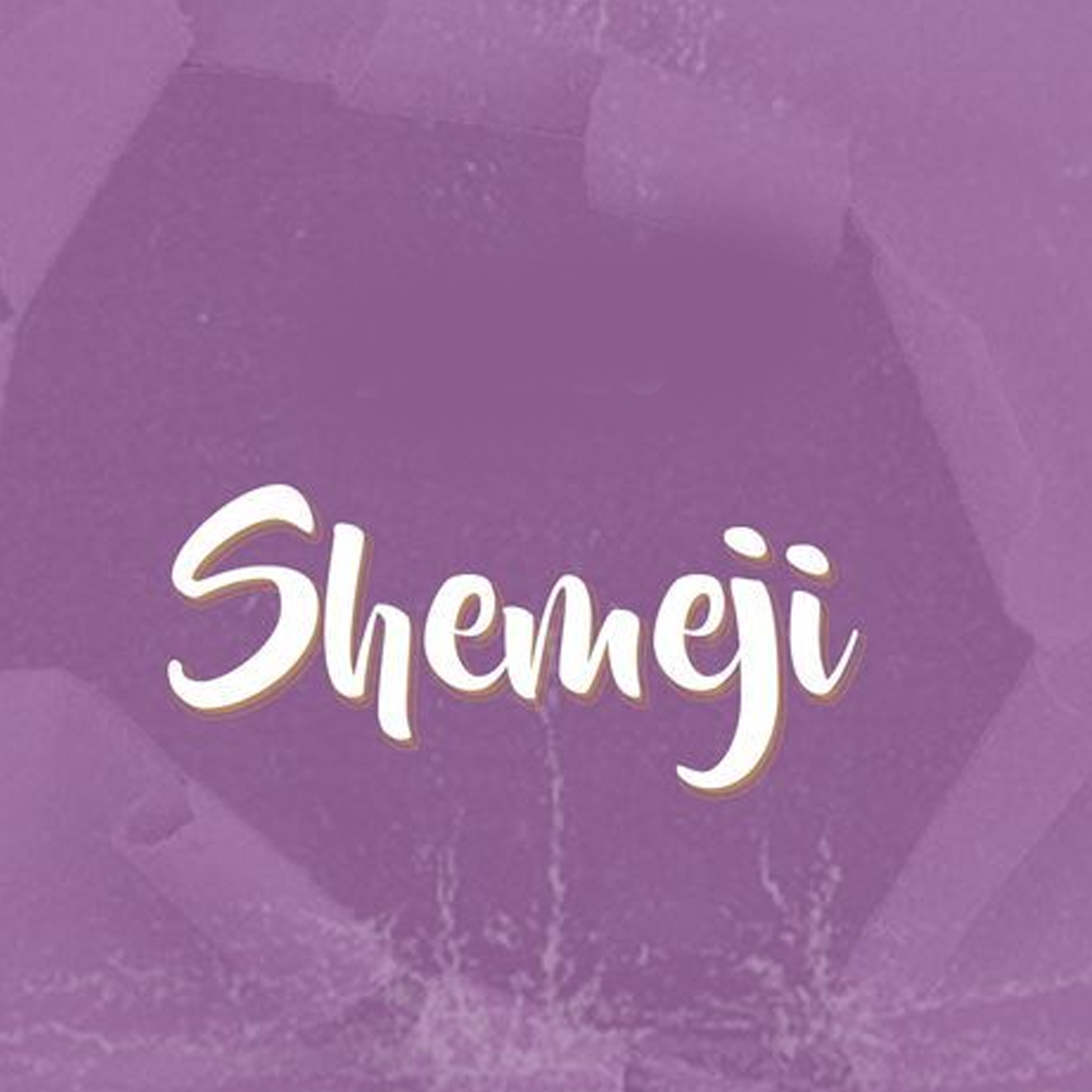 Noma Emergency - Shemeji (Official Audio Cover 2025)