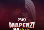 PMT - Mapenzi ya Kisela (Official Audio Cover 2025)