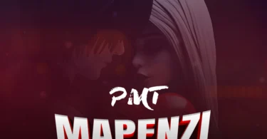 PMT - Mapenzi ya Kisela (Official Audio Cover 2025)