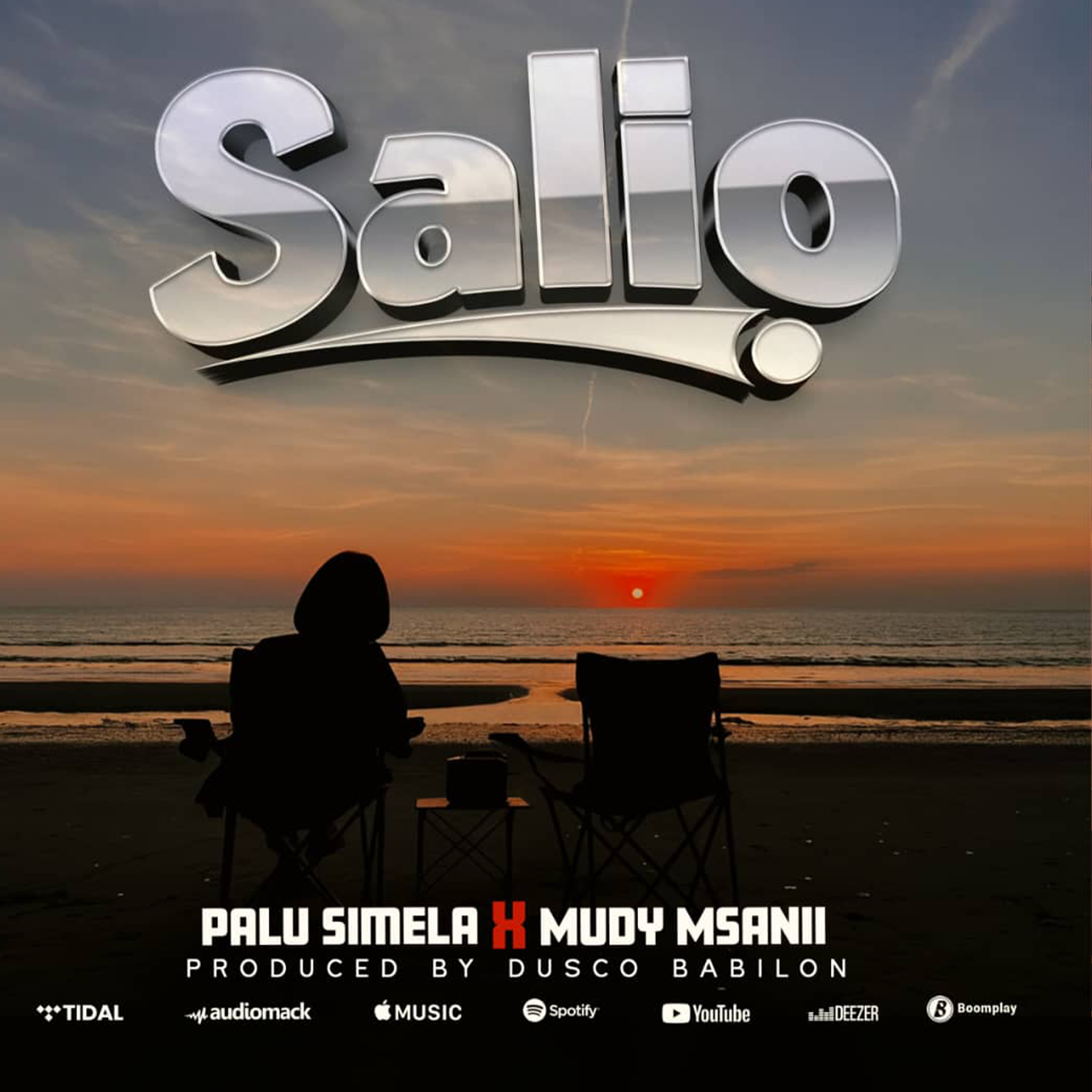 Palu simela Ft. Muddy Msanioi - Salio (Official Audio Cover 2025)