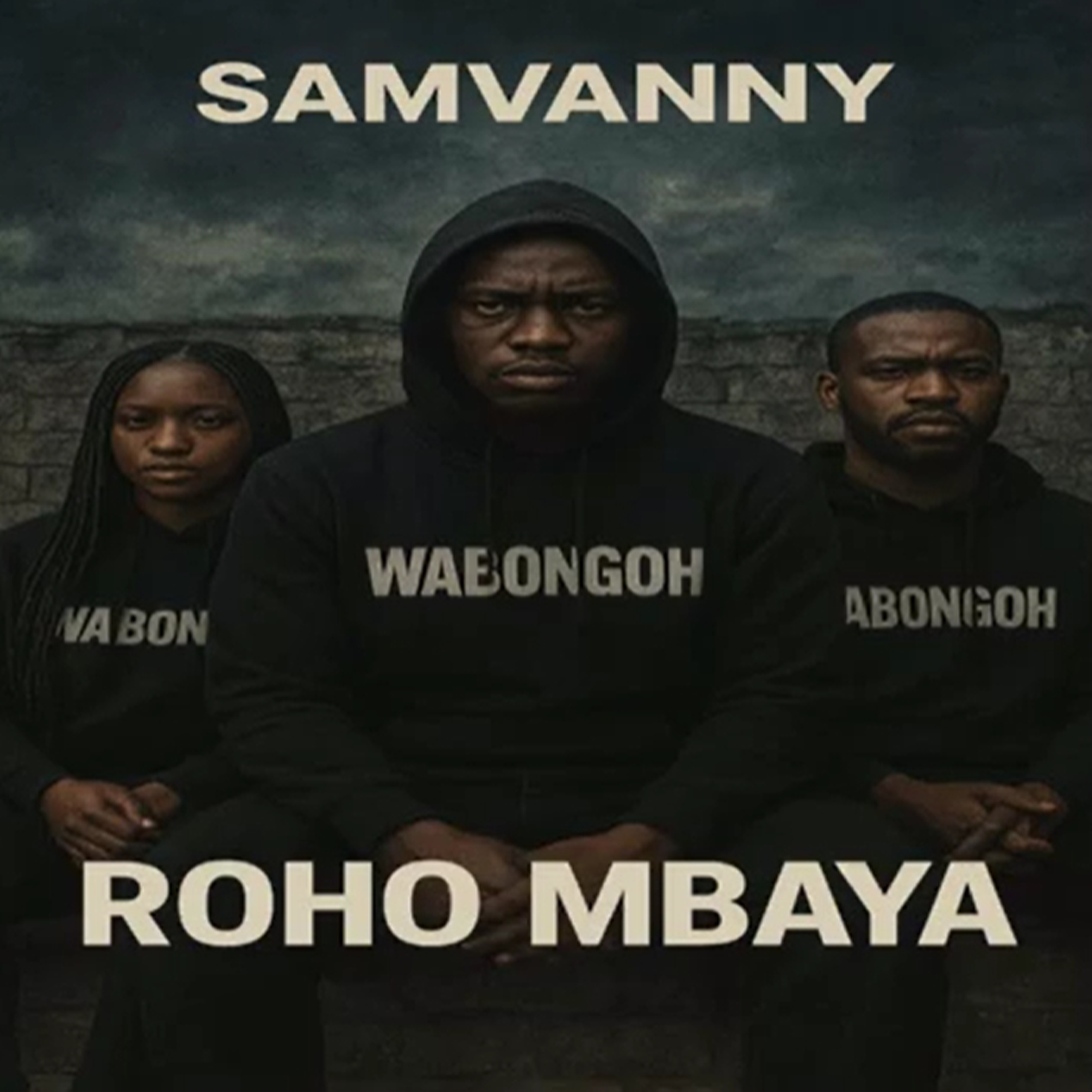 SamVanny - ROHO MBAYA (Official Audio Cover 2025)