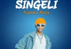 Shanny Boy - Singeli Namba Moja (Official Audio Cover 2025)