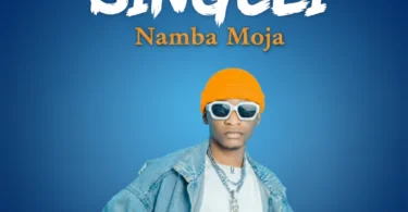 Shanny Boy - Singeli Namba Moja (Official Audio Cover 2025)