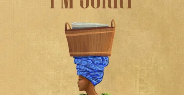 Vairas Mdudu - I'm Sorry (Official Audio Cover 2025)