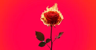 Abizzoh - Sina (Official Audio Cover 2026)