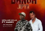 Amiri Amiri Ft. Mfalme Ninja - DANGA JIPYA (Official Audio Cover 2025)