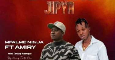 Amiri Amiri Ft. Mfalme Ninja - DANGA JIPYA (Official Audio Cover 2025)
