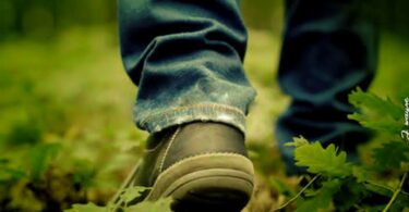 Amiri Amiri Ft. Mfame Ninja - Chalinze (Official Audio Cover 2026)