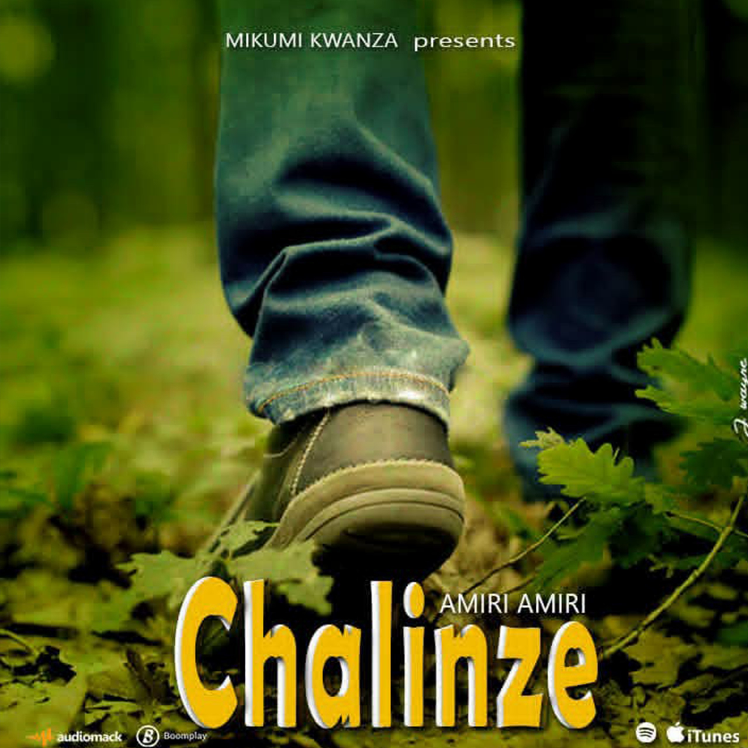 Amiri Amiri Ft. Mfame Ninja - Chalinze (Official Audio Cover 2026)