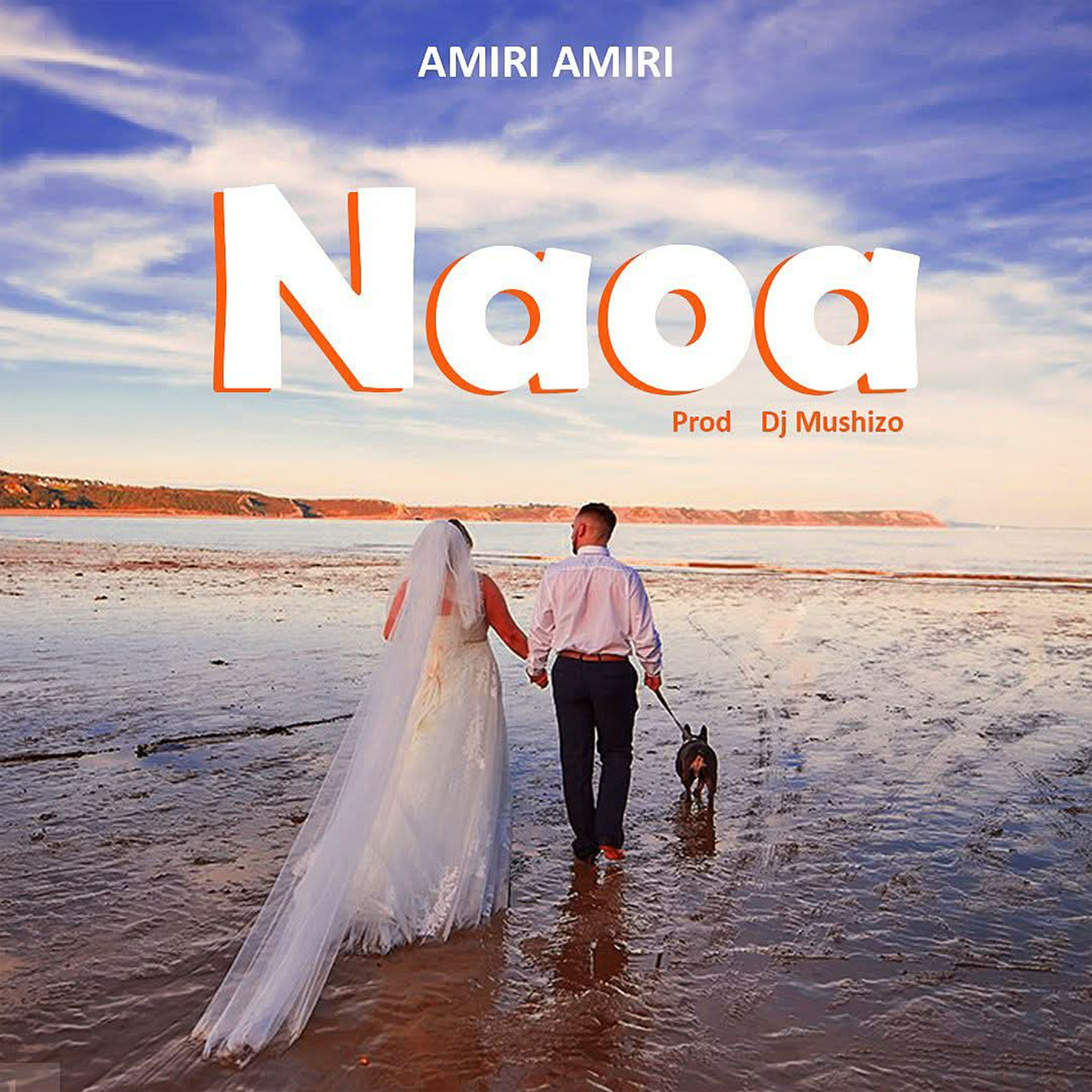 Amiri Amiri - Naoa (Official Audio Cover 2026)