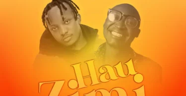 Ben Will Ft Chidi Benz – Hauzimi (REMIX) (Official Audio Cover 2026)