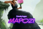 Canaly koppa - Mapozi (Official Audio Cover 2026)
