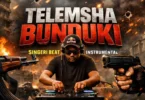 DJ Dabo Vinanda Ft. Roma Mkatoliki - Bunduki Singeli Beat