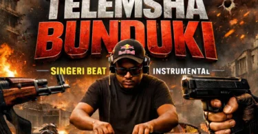 DJ Dabo Vinanda Ft. Roma Mkatoliki - Bunduki Singeli Beat