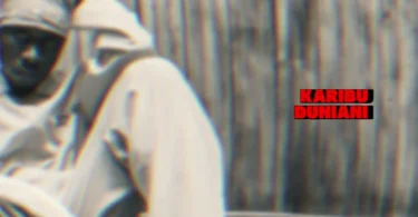 Dizasta Vina - 2025 (Official Audio Cover 2025)