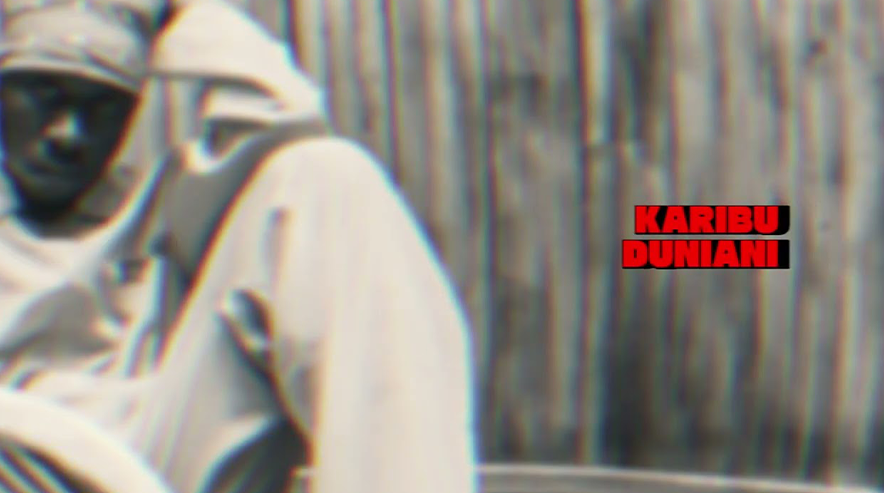 Dizasta Vina - 2025 (Official Audio Cover 2025)